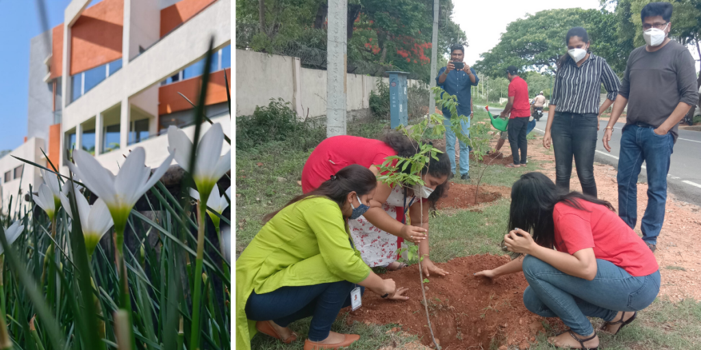 Infomazes-CSR_Garden-and-environment-day-celebration