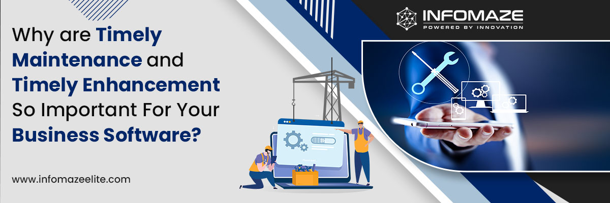 important-for-your-business-software_infomaze