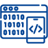 Custom .NET Application Development