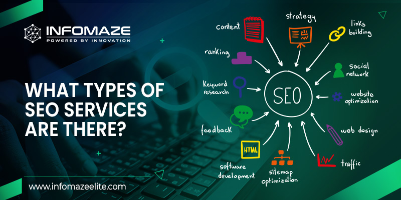 SEO Service Provider