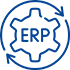 ERP systems setup services
