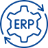 ERP systems setup services ERP systems setup services
