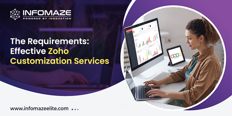 Zoho Customization Services with Project Needs