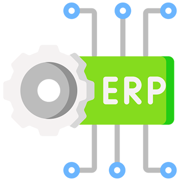 ERP Customization & Enhancement ERP Customization & Enhancement