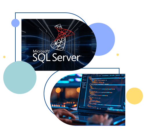 Microsoft SQL Server Services