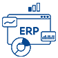 Custom ERP Systems